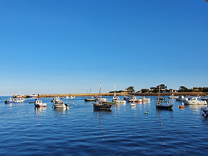 barfleur