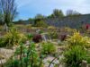 camping proche ile de Tatihou